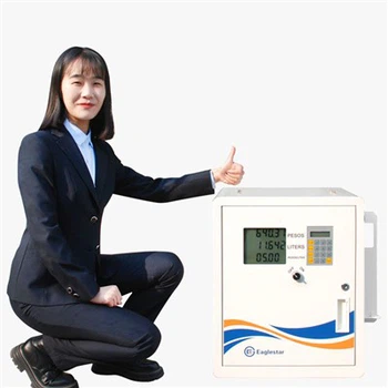 মিনি মোবাইল গ্যাস স্টেশন