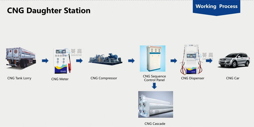 product-1000-500 product-1000-500